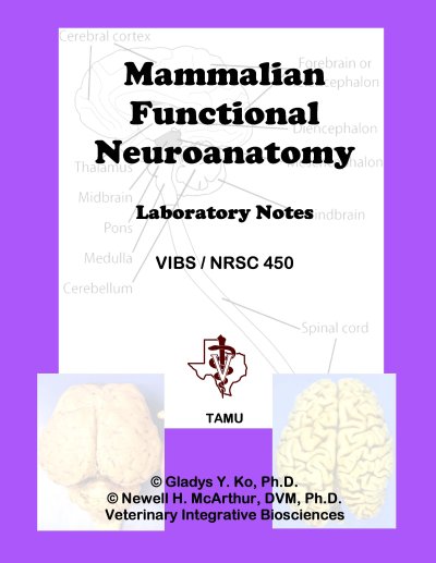 Lab Notes - VIBS 450 - FALL 2022